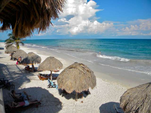 naturist 0003 Tulum, QR, Mexico