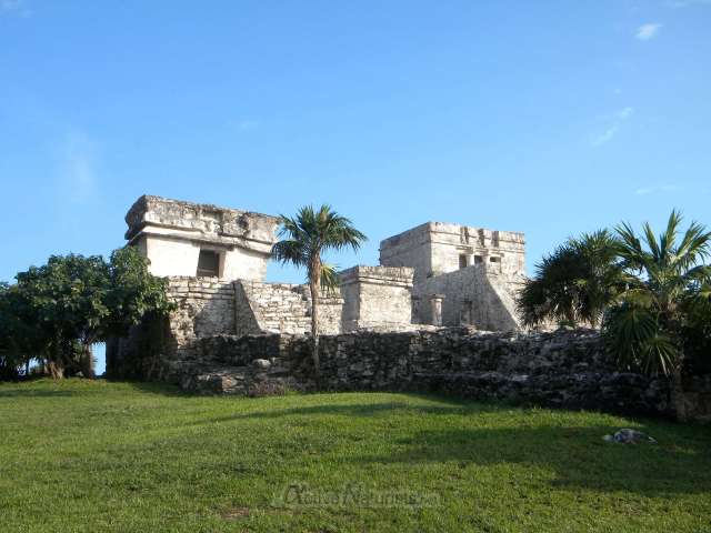 naturist 0006 Tulum, QR, Mexico