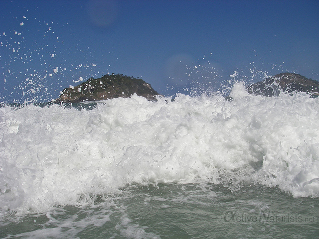 26552321306_7d7cdd567b_z_d