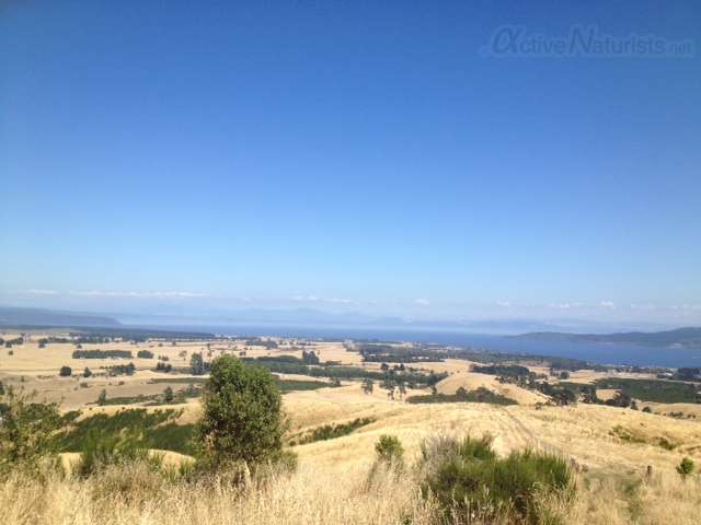 naturist 0000 Mount Tauhara, North Island, New Zealand