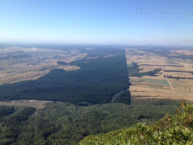 naturist 0002 Mount Tauhara, North Island, New Zealand