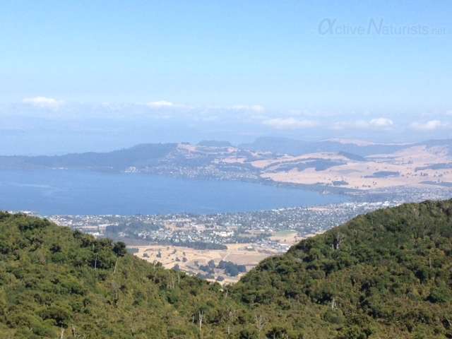 naturist 0004 Mount Tauhara, North Island, New Zealand