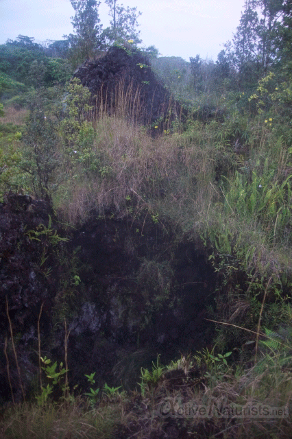 view-0004-steam-vents,-Hawaii,-USA