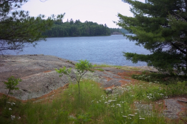 008 Canadian Shield 0000 Georgian Bay, Ontario, Canada